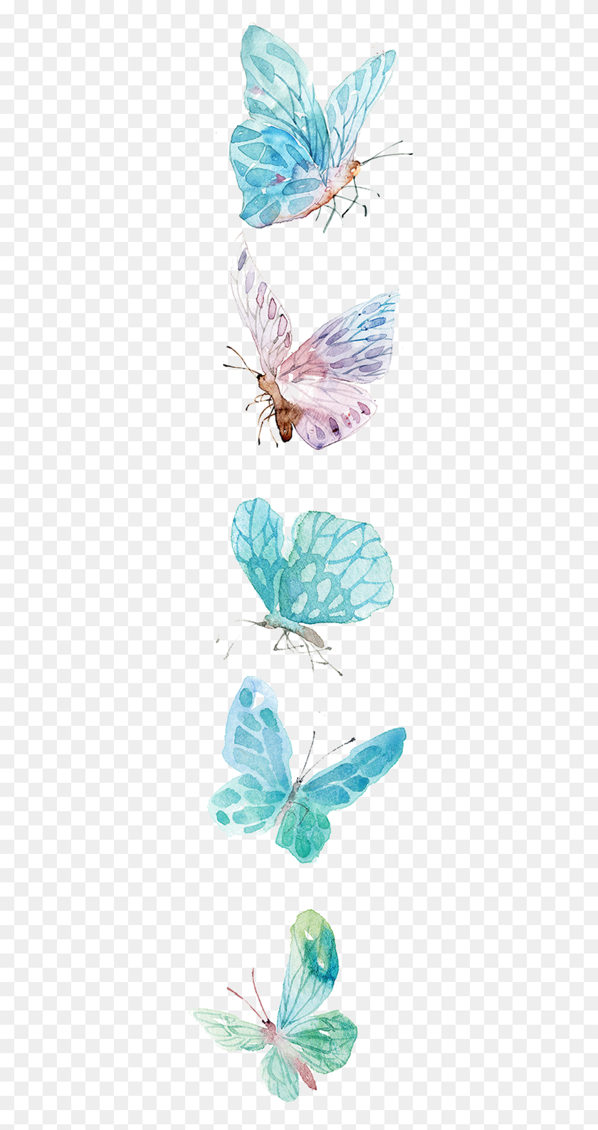 323x1528 Imagenes De Azules Con Mariposa, Insect, Invertebrate, Animal HD PNG Download