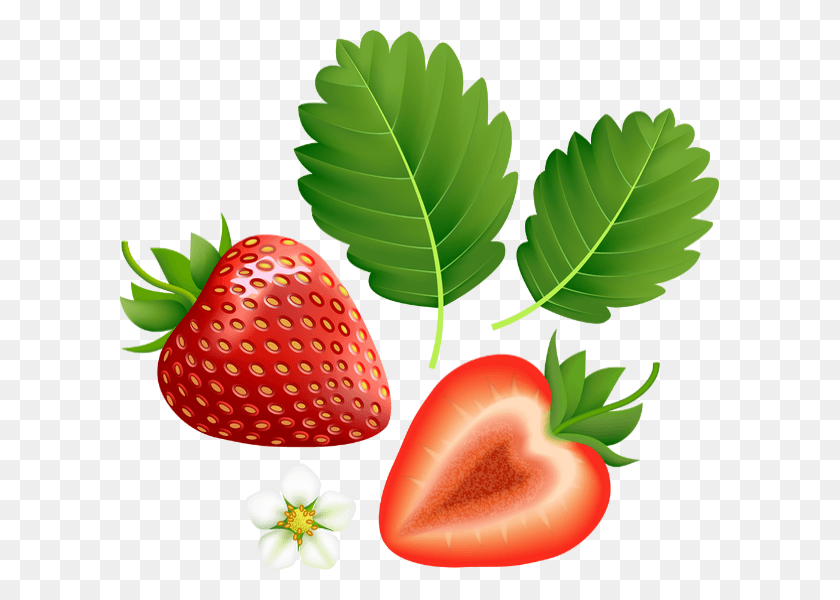 600x540 Imagenes De Fresas, Strawberry, Fruit, Plant HD PNG Download