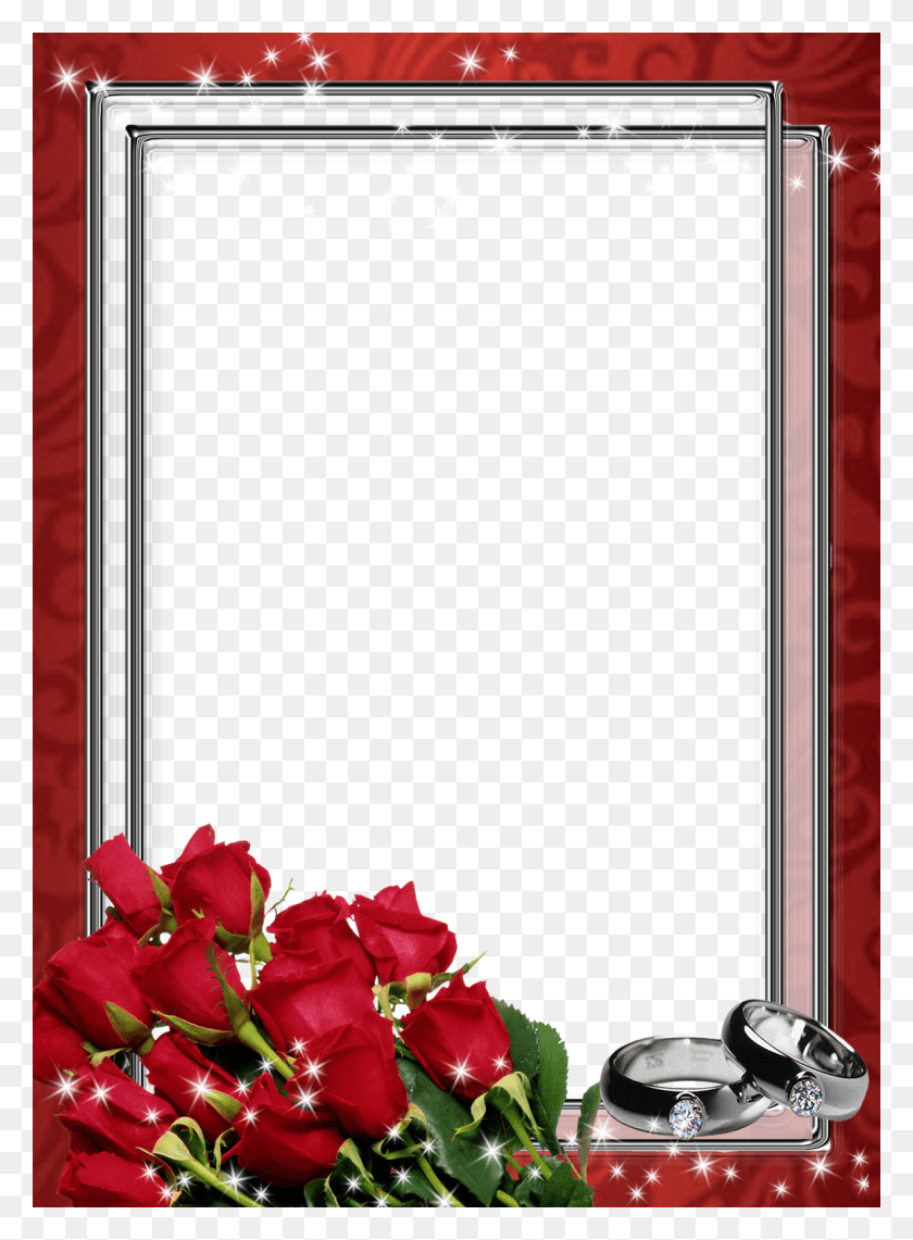 1154x1600 Imagens E Mascaras Digitais Garden Roses, Planta, Flor, Flor Hd Png