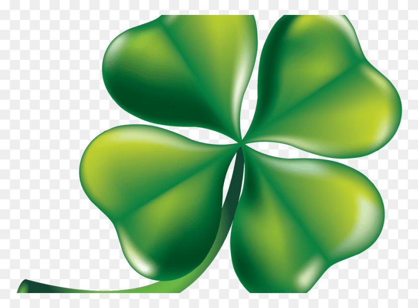 897x642 Images About Four Leaf St Patricks Day Shamrock, Green, Plant, Leaf HD PNG Download