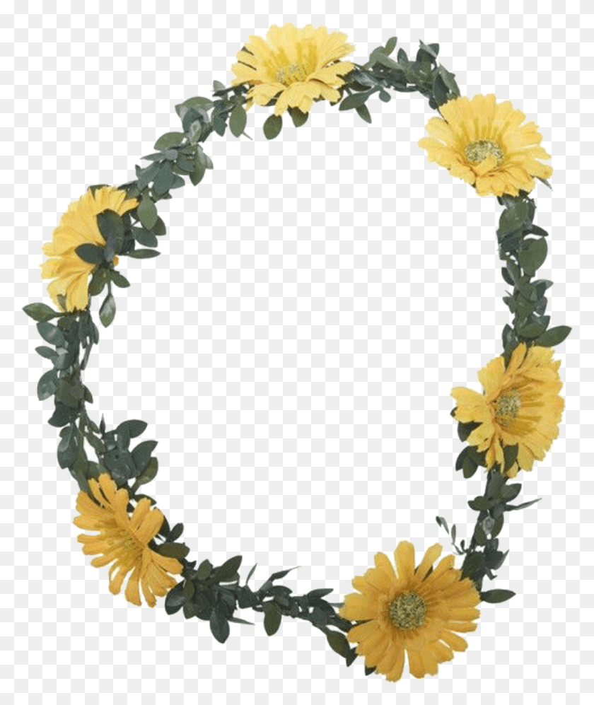 1052x1265 Images About Overlays On We Heart It Sunflower, Wreath, Plant, Flower HD PNG Download