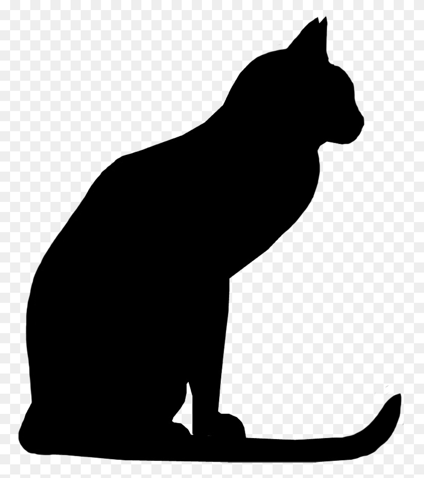771x887 Images For Cat Head Silhouettes Black Cat Silhouette, Photography HD PNG Download