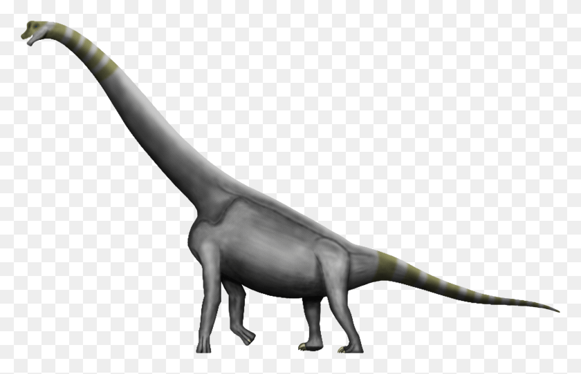 2534x1567 Images Free Pngmart Com Brachiosaurus Brachiosaurus, Dinosaurio, Reptil, Animal Hd Png