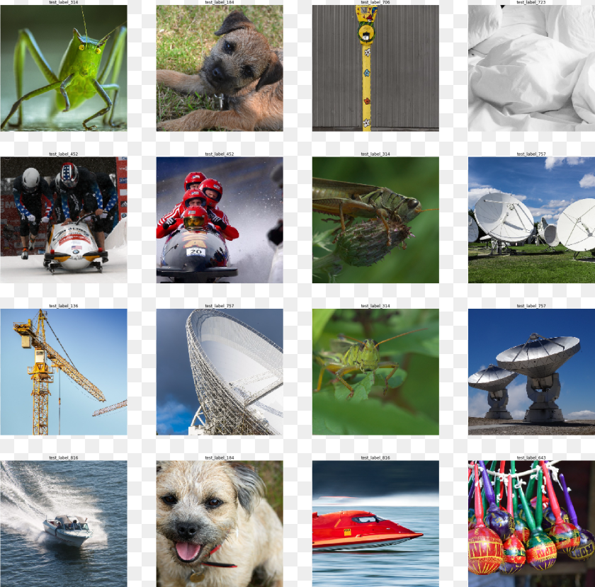 Imagesexamples Dataloading Tfrecord 9 0 Polar Bear, Collage, Art, Pet, Dog Clipart PNG