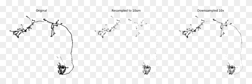 980x277 Imagessource Resample Neurons 5 0 Line Art, Серый, World Of Warcraft Hd Png Скачать