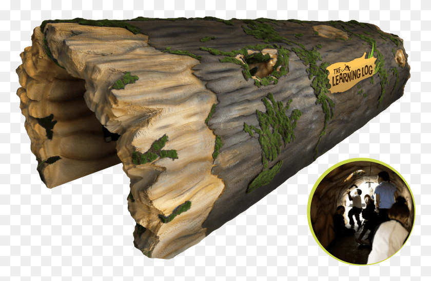 1700x1067 Imagine A Giant Fallen Tree Hollowed Out And Tree, Person, Human HD PNG Download