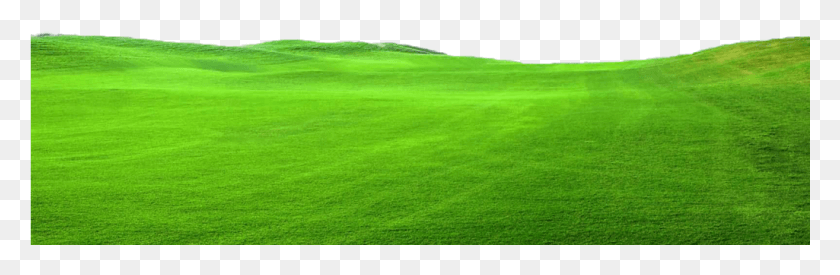 1025x283 Img, Grass, Plant, Lawn HD PNG Download