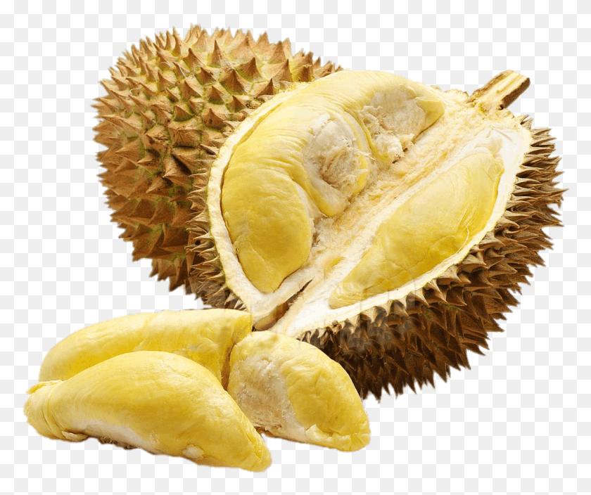 1090x900 Imagen Png / Planta, Durian, Fruta Hd Png