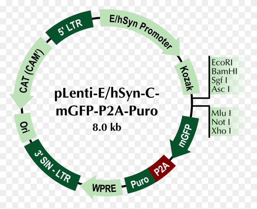 941x751 Descargar Png / Texto, Número, Símbolo Hd Png