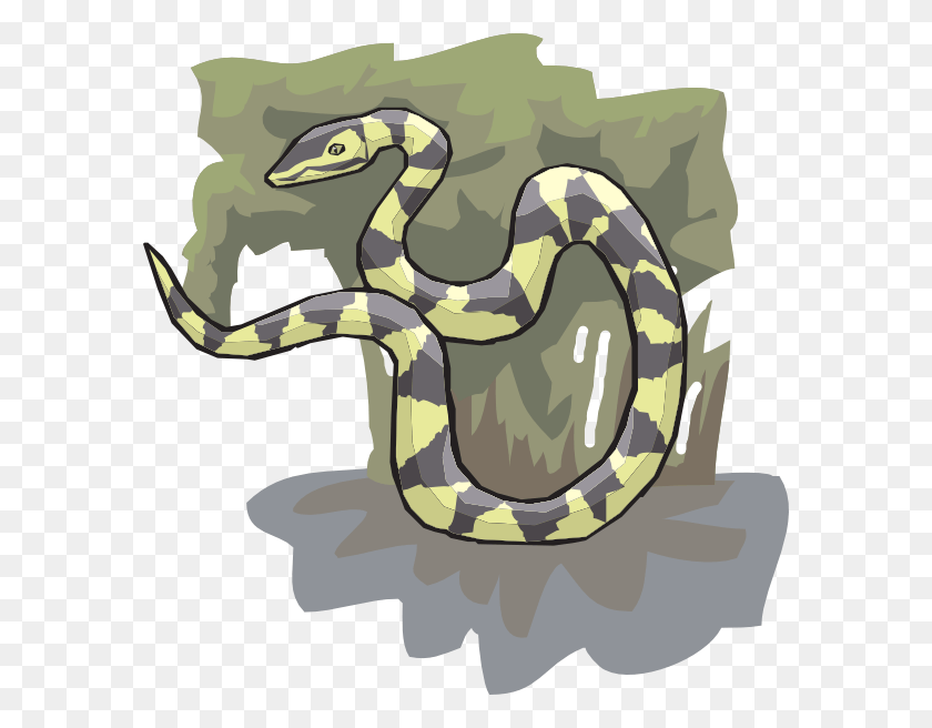 582x596 Изображение, Рептилия, Животное, Змея Hd Png Скачать