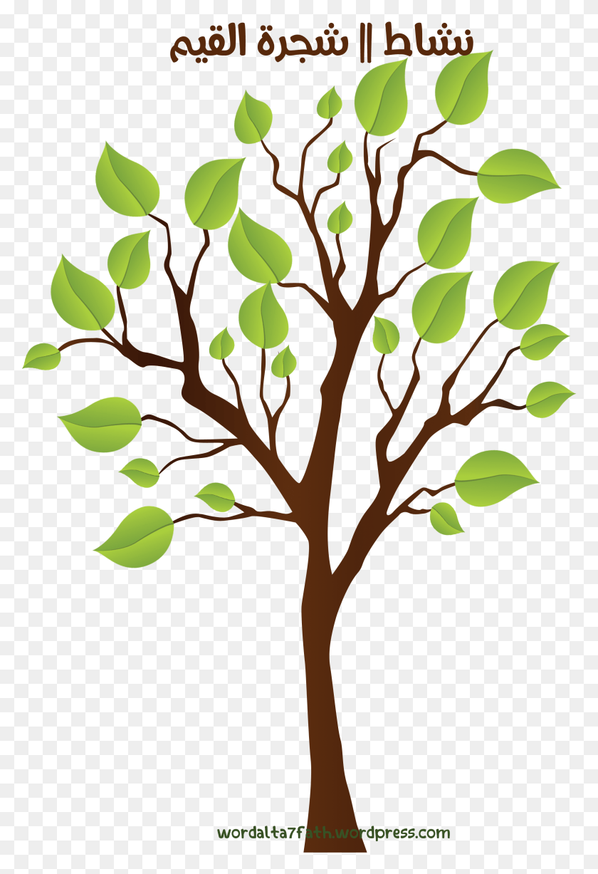 2326x3482 Imagen Png / Planta, Hoja, Árbol Hd Png