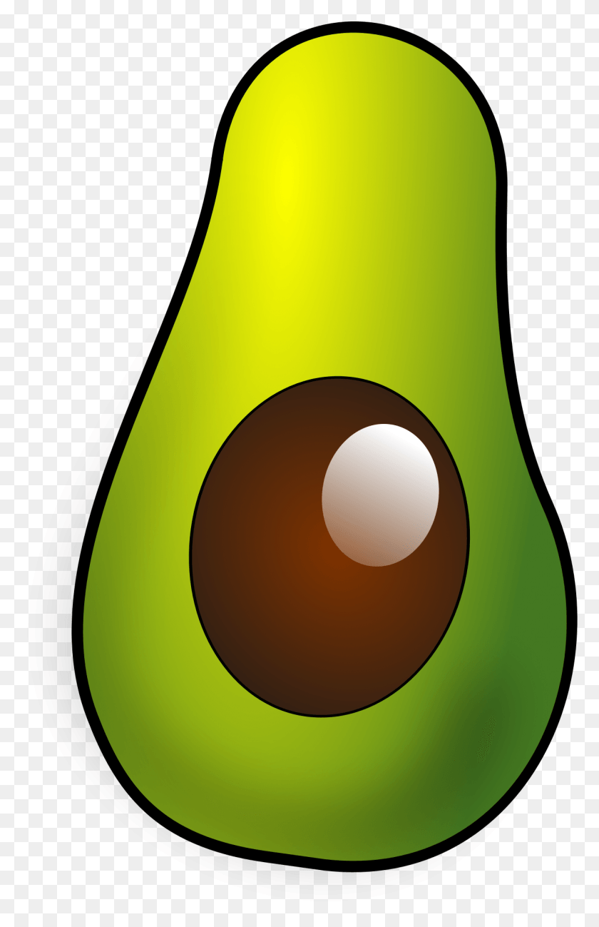 1203x1911 Img, Avocado, Fruit, Plant HD PNG Download