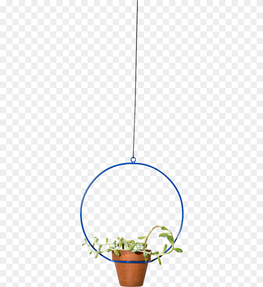 333x914 Img Circle, Plant, Potted Plant, Pottery, Jar PNG