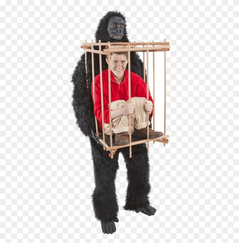 360x794 Img Gorilla Cage Costume, Person, Human, Face HD PNG Download