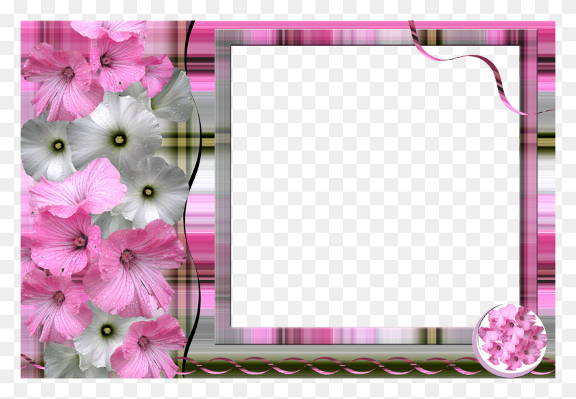 1600x1074 Img Simple Frames Dendrobium, Plant, Geranium, Flower HD PNG Download