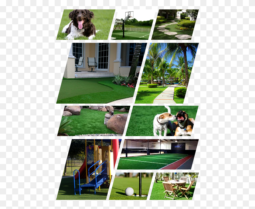 471x628 Img Why Synthetic Artificial Grass, Plant, Lawn, Dog HD PNG Download