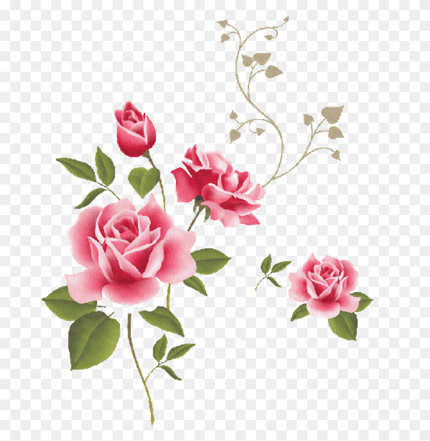 684x801 Descargar Png Imgenes Para Photoscape De Flores Y Plantas Pink Rose Clip Art, Plant, Flower, Blossom Hd Png