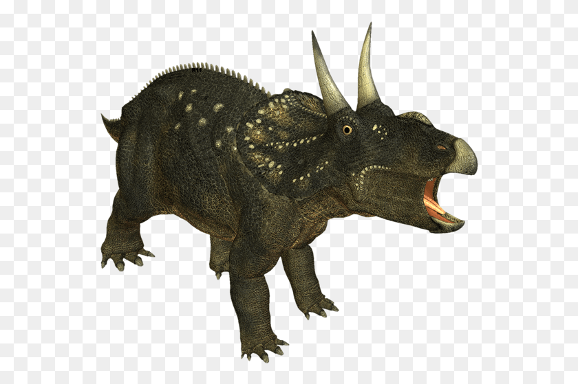 550x499 Descargar Png Imgenes Para Photoscape Photoshop Y Gimp De Animales Triceratops, Dinosaur, Reptile, Animal Hd Png