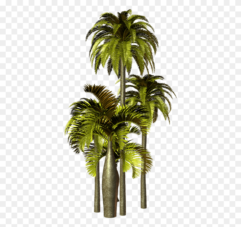 395x730 Фотошоп Для Фотошопа Y Gimp De Flores Seringueira, Пальма, Дерево, Растение Hd Png Скачать