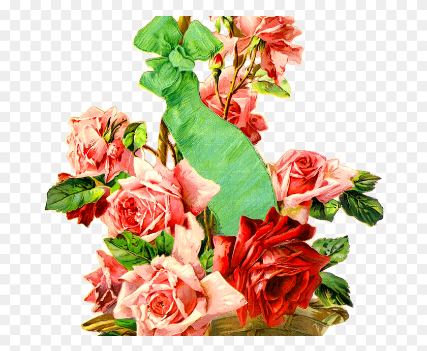 675x631 Imgenes Vintage Gratis Бесплатные Винтажные Изображения Садовые Розы, Растение, Цветок, Цветение Hd Png Скачать