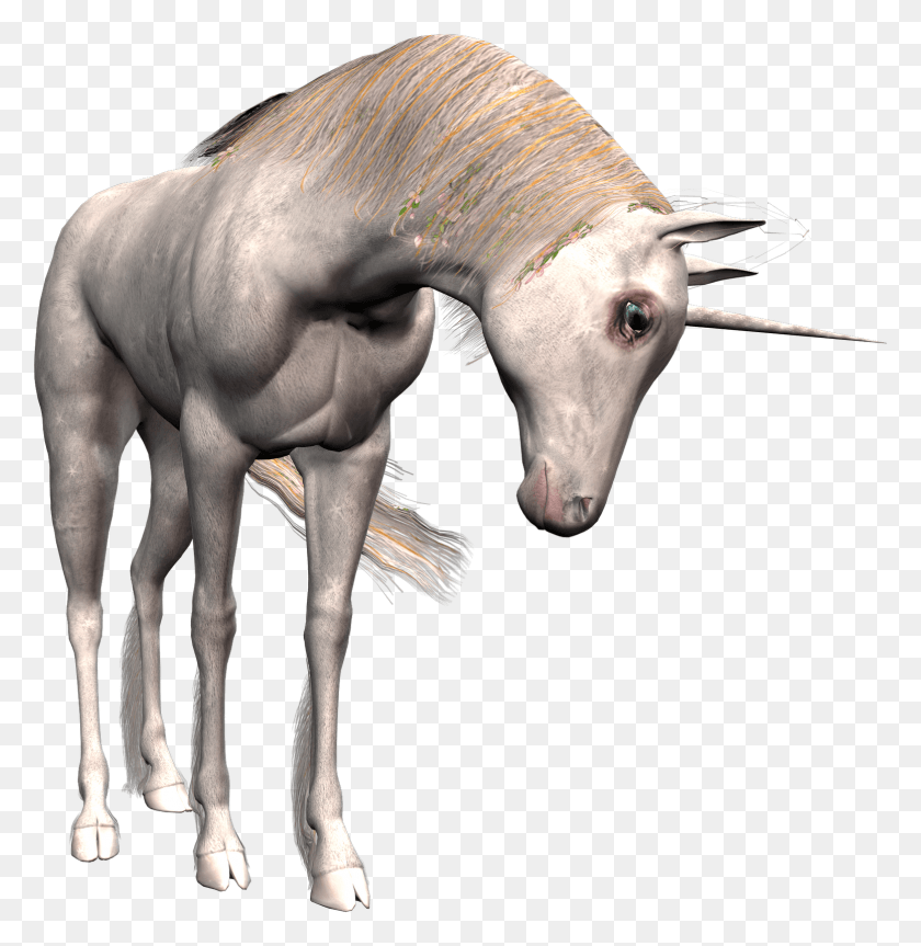 1554x1600 Imgenes Y Gifs De Unicornios Unicornio, Животное, Млекопитающее, Дикая Природа Hd Png Скачать