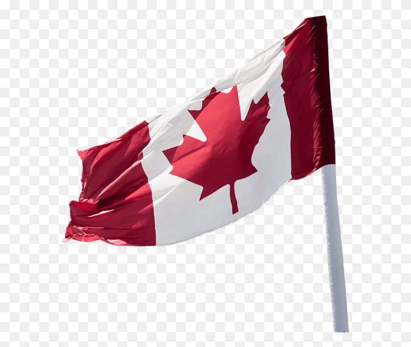 588x651 Иммигрировать В Канаду Канада, Флаг, Символ, Американский Флаг Hd Png Скачать