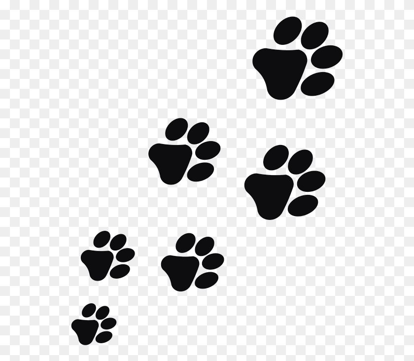 557x672 Impronte Cane, Nature, Outdoors, Tar HD PNG Download