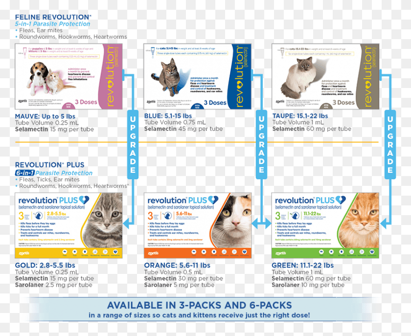 826x664 In 1 Protection Upgrade Revolution Plus For Cats Sizes, Poster, Advertisement, Flyer Descargar Hd Png