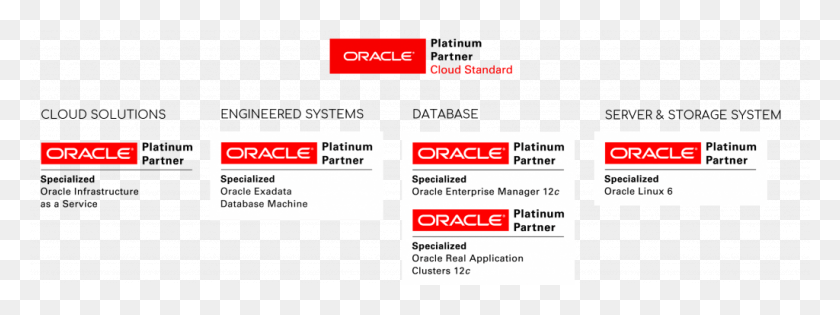 1024x336 In Addition To Incident Management Service Our Database Oracle Platinum Partner, Text, Paper, Flyer HD PNG Download