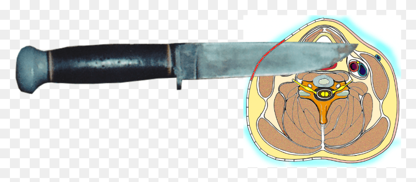 1395x551 In Each Case A Forceful Side To Side Stabbing Would Bowie Knife, Weapon, Weaponry, Label Descargar Hd Png