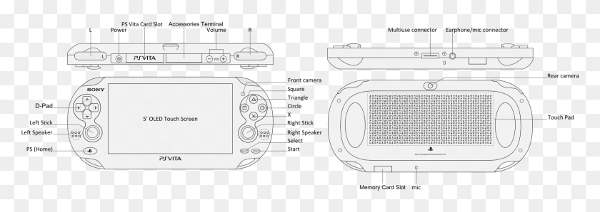 1569x479 In Line With Sony39s Ambition To Combine Aspects Of Parts Of Ps Vita, Plot, Text, Vegetation HD PNG Download