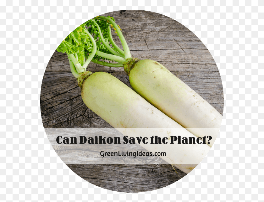585x585 In This Article From Takepart The Author Explains Radish, Plant, Banana, Fruit HD PNG Download