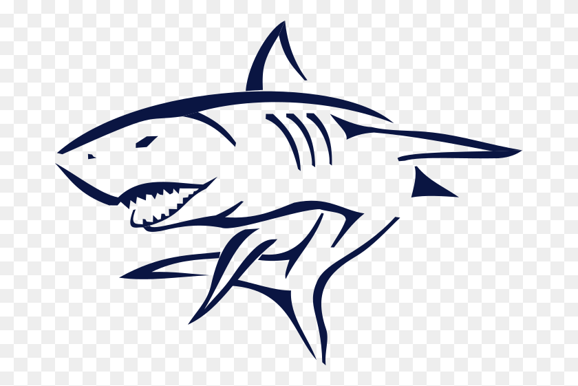 679x501 In Which We Will Develop And Reinforce Good Sportsmanship Great White Shark, Animal, Sea Life, Wasp HD PNG Download