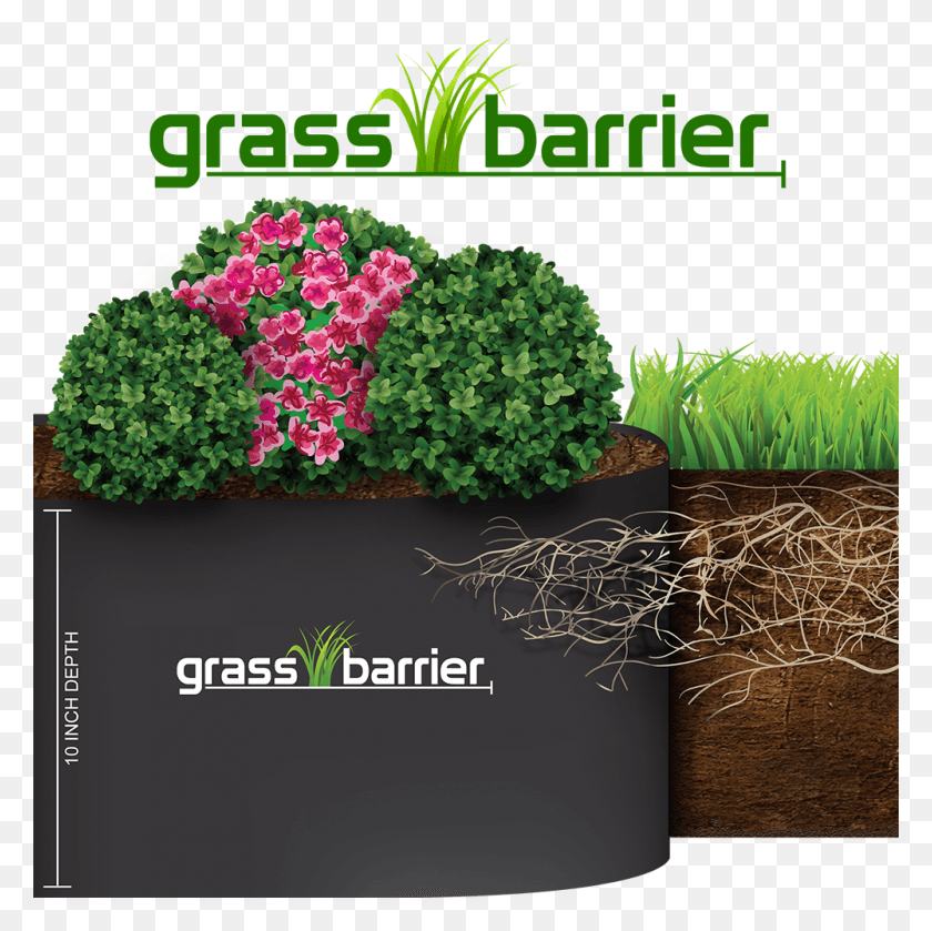 1000x1000 Inch Depth Grass Barrier, Plant, Green, Potted Plant HD PNG Download