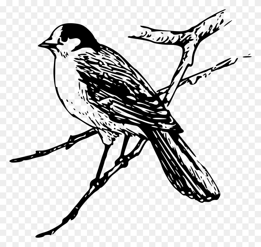 2400x2265 Independence Drawing Bird Maya Clipart Black And White, Gray, World Of Warcraft HD PNG Download