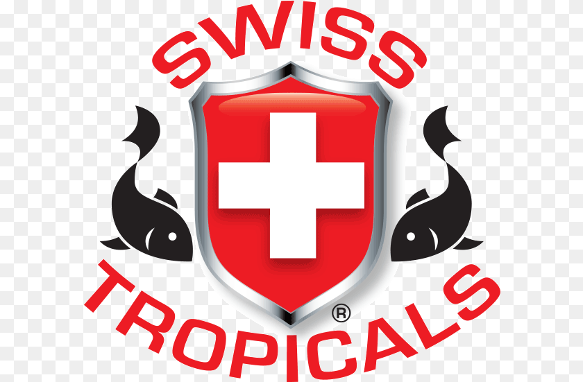 601x551 Index Of Pictures 600 Swiss, Armor, Shield, First Aid, Logo PNG