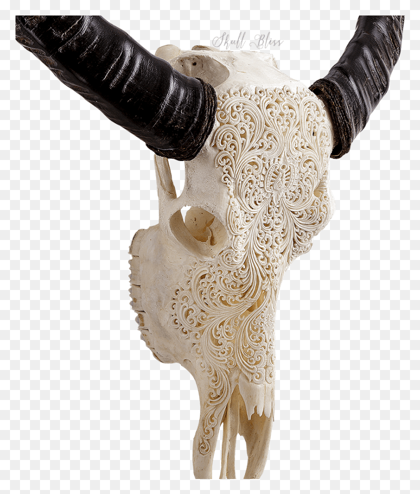 841x1001 Indian Carving Buffalo, Ivory, Hip, Person HD PNG Download