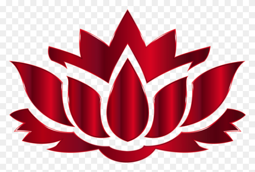 800x521 Индийский Клипарт Цветок Лотоса Клипарт, Растение, Лист, Символ Hd Png Скачать