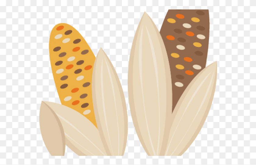586x481 Indian Corn Clipart Cute Indian Corn Clipart, Plant, Vegetable, Food HD PNG Download