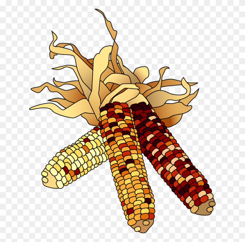 639x771 Indian Corn Image Clipart November Clip Art Free, Plant, Vegetable, Food HD PNG Download