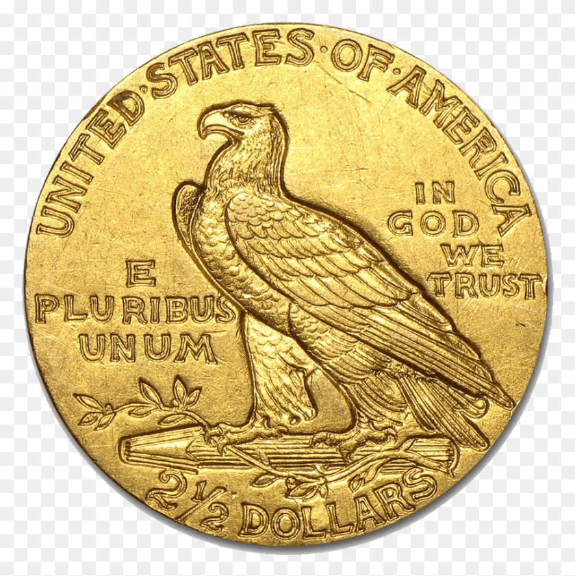842x844 Индийский Орел Содержит Монету, Птица, Животное, Золото Png Скачать