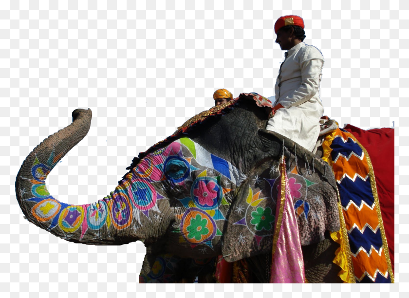 1564x1107 Индийский Слон, Человек, Человек, Млекопитающее Hd Png Скачать