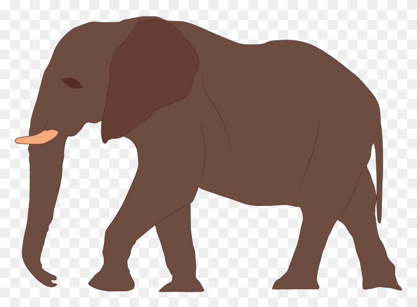 2349x1685 Индийский Слон Индийский Слон, Дикая Природа, Животное, Млекопитающее Hd Png Скачать