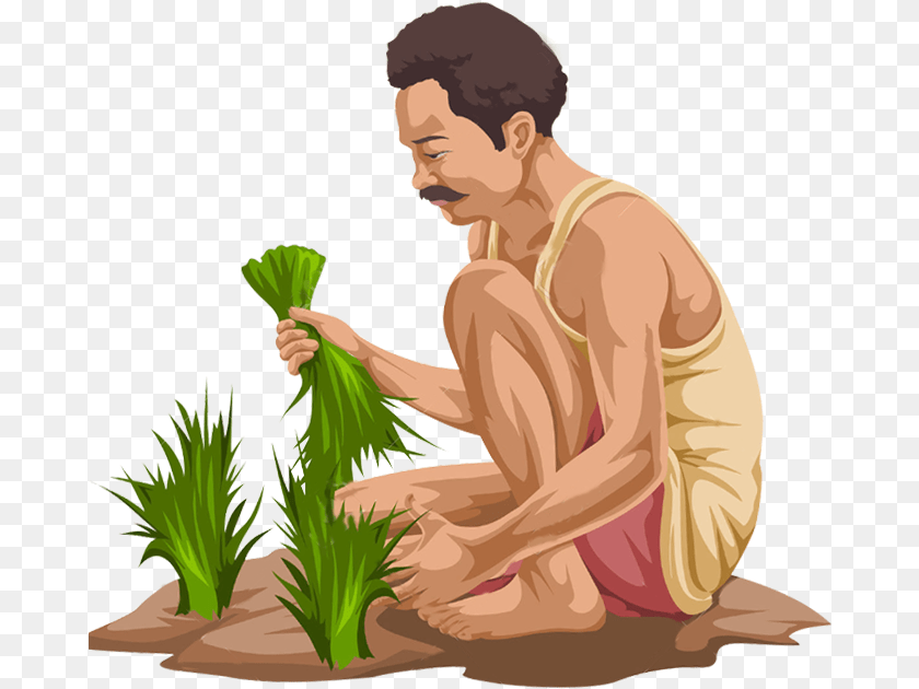 681x630 Indian Farmer Clipart, Person, Garden, Gardener, Gardening Transparent PNG