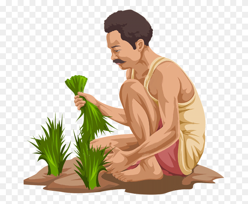 681x630 Indian Farmer Farmer Images, Person, Human HD PNG Download