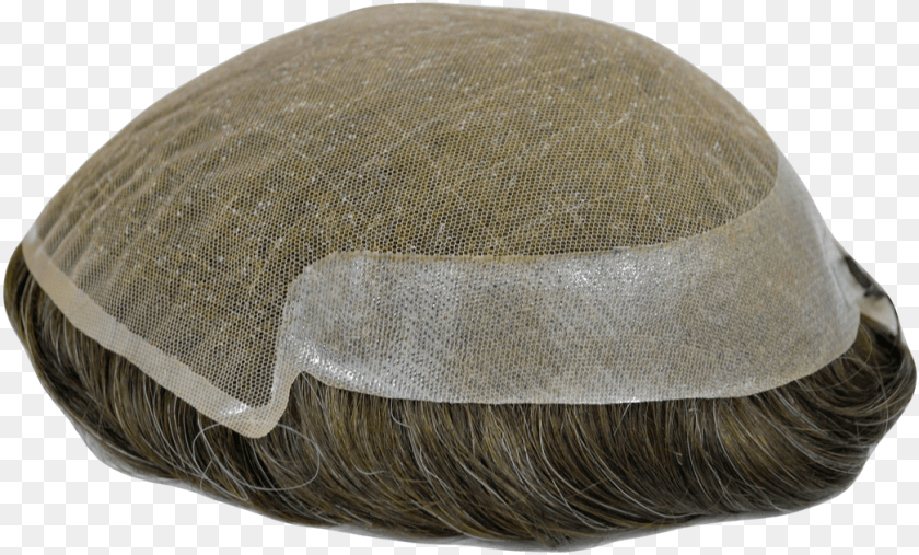 1046x631 Indian Human Hair Wigs Wig, Animal, Seafood, Sea Life, Invertebrate Clipart PNG