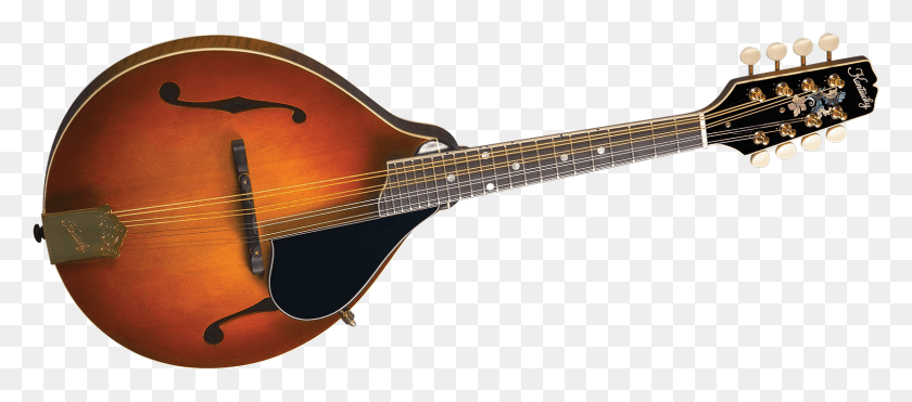 1581x632 Descargar Png / Instrumentos Musicales Indios, Mandolina, Instrumento Musical, Guitarra Hd Png