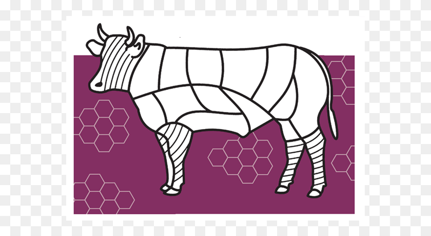 583x399 Индийский Носорог, Животное, Млекопитающее Hd Png Скачать