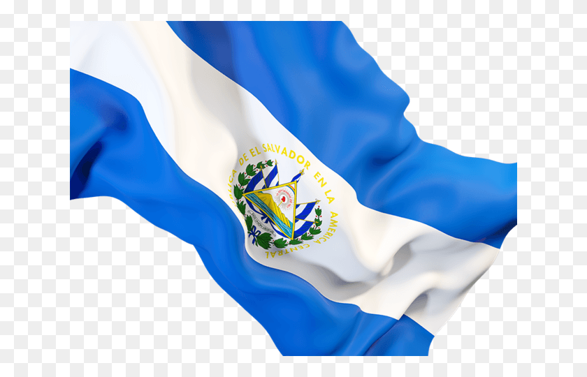 640x480 Descargar Png / Bandera De La India, Gráficos, Diseño Floral Hd Png