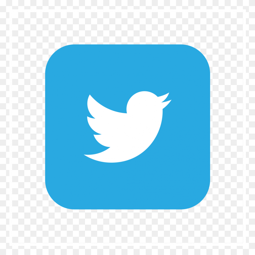 1019x1019 Indonesia English Twitter, Bird, Animal, Logo HD PNG Download